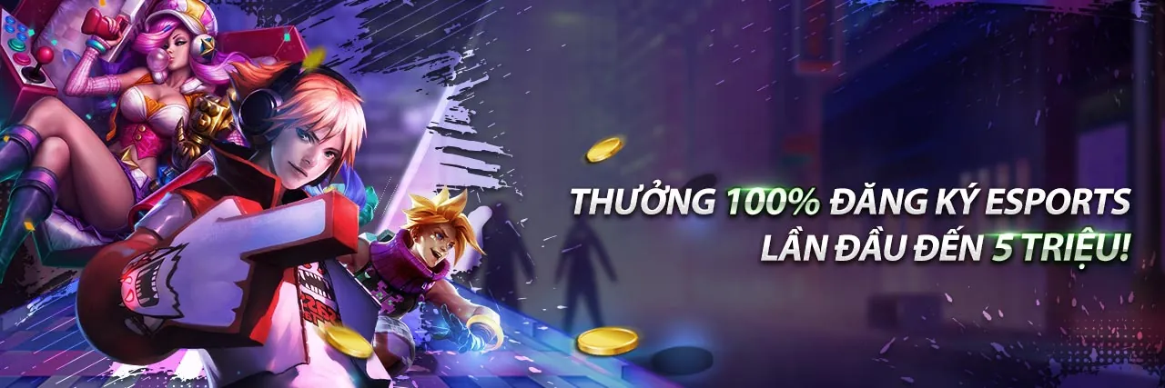 Hướng dẫn nhanh cho người mới bắt đầu ranvip