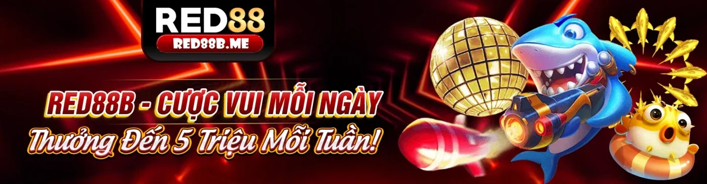 Banner khuyến mãi thể thao ranvip